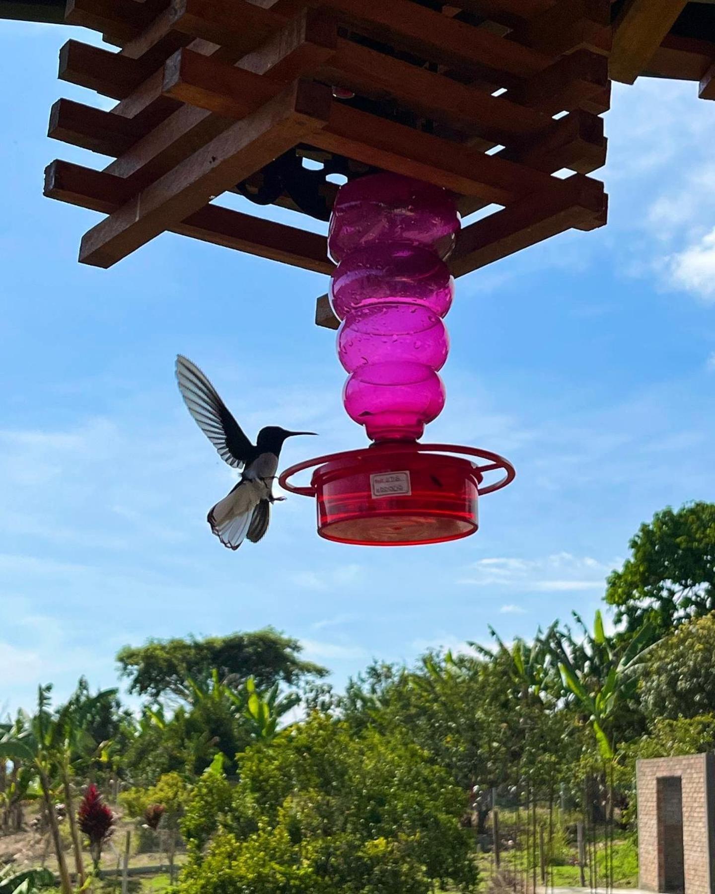Bed and Breakfast Casa campestre HH Quimbaya Exterior foto