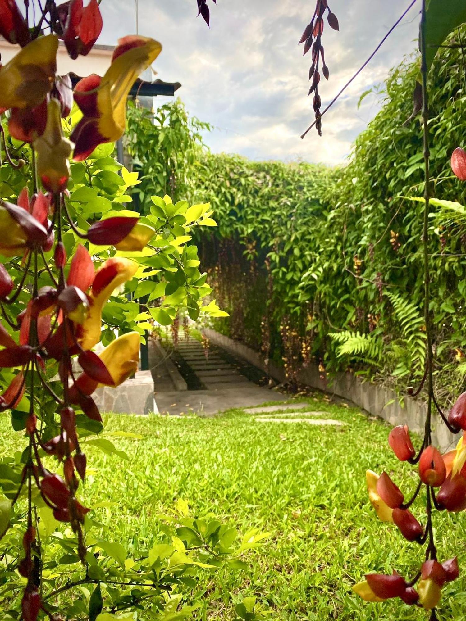Bed and Breakfast Casa campestre HH Quimbaya Exterior foto